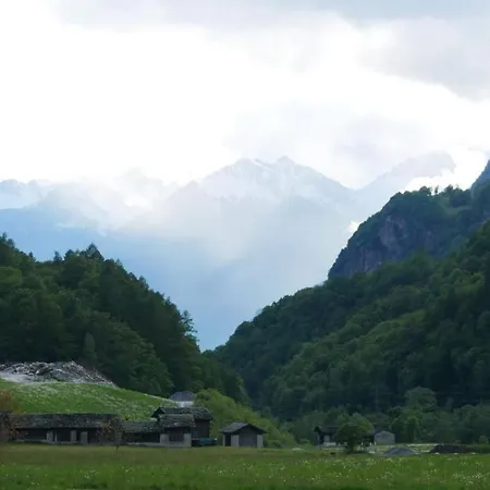 In By Interhome Borgonovo