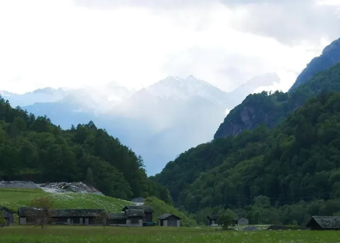 In By Interhome Borgonovo